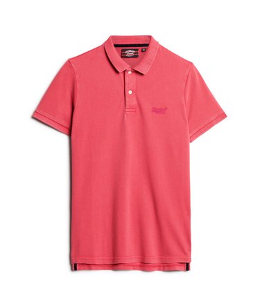 Polo Destroyed Image 5